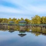 Danau Tahai di Palangkaraya: Destinasi Wisata Eksotis dengan Air Berwarna Merah Unik