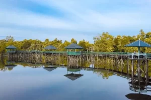 Danau Tahai di Palangkaraya: Destinasi Wisata Eksotis dengan Air Berwarna Merah Unik